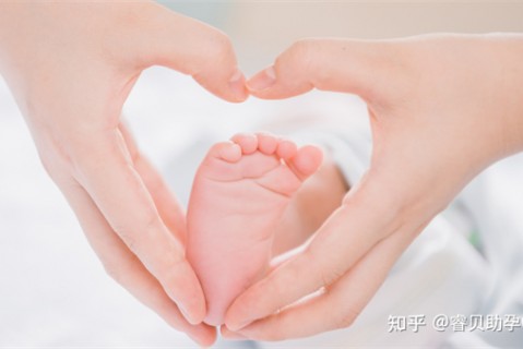 http://nantong.nbgk120.com/post/197.html|南通捐卵费用
