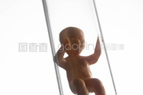 http://nantong.nbgk120.com/post/209.html|南通捐卵费用